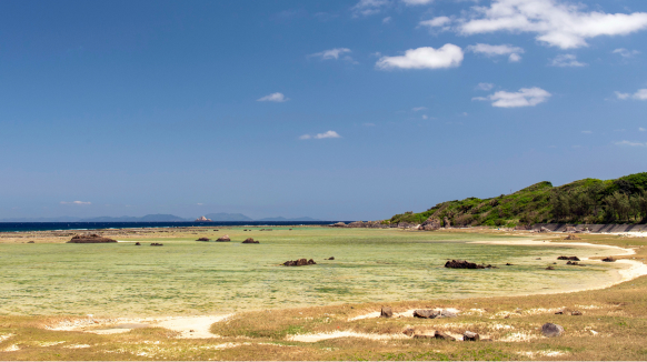 手々海浜公園